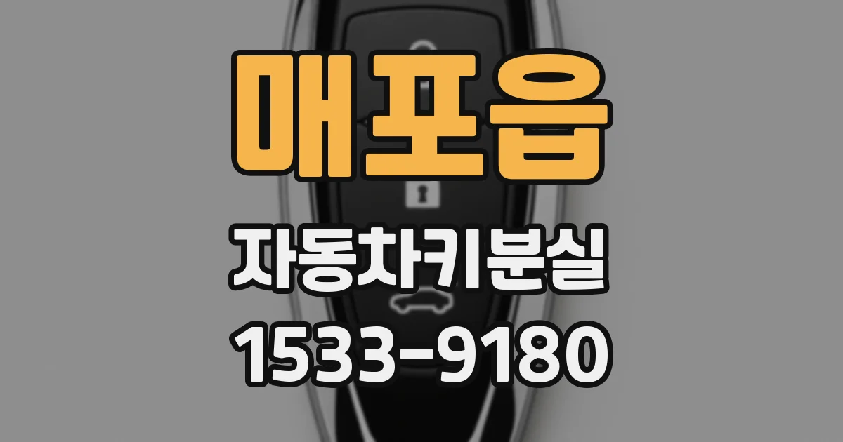 매포읍 자동차키분실