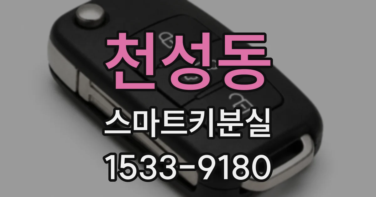 천성동 스마트키분실