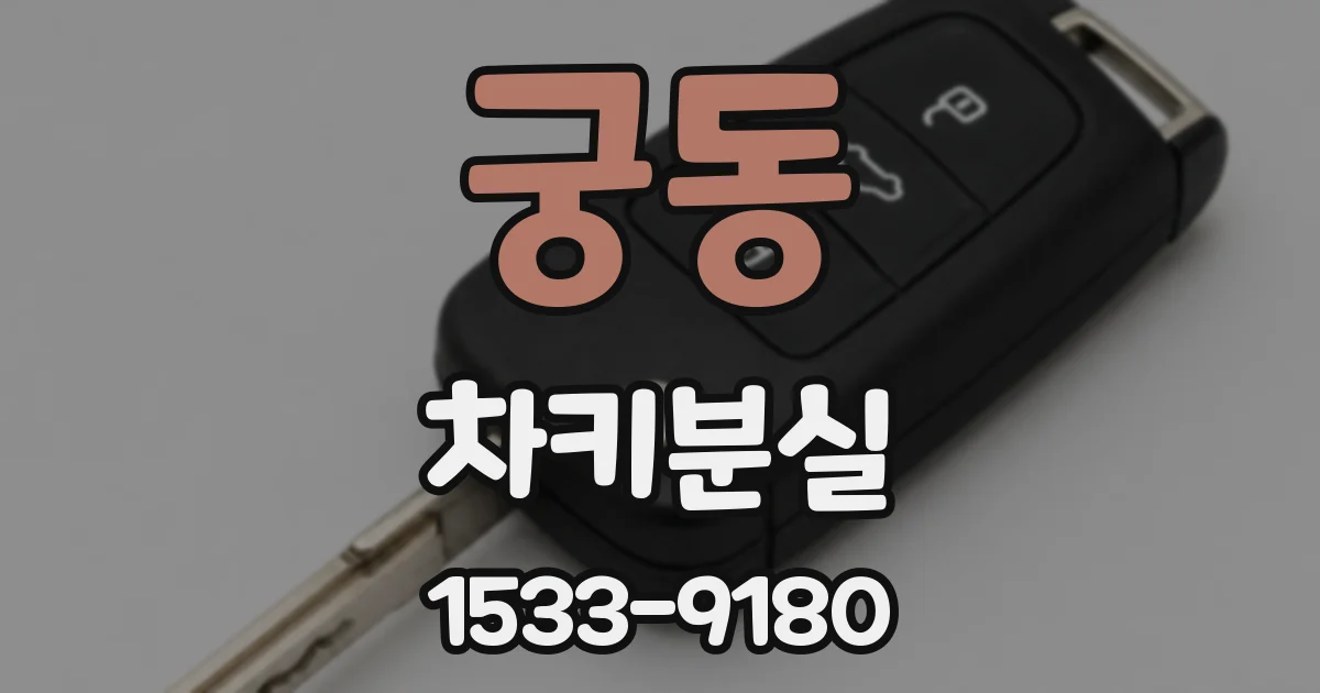궁동 차키분실