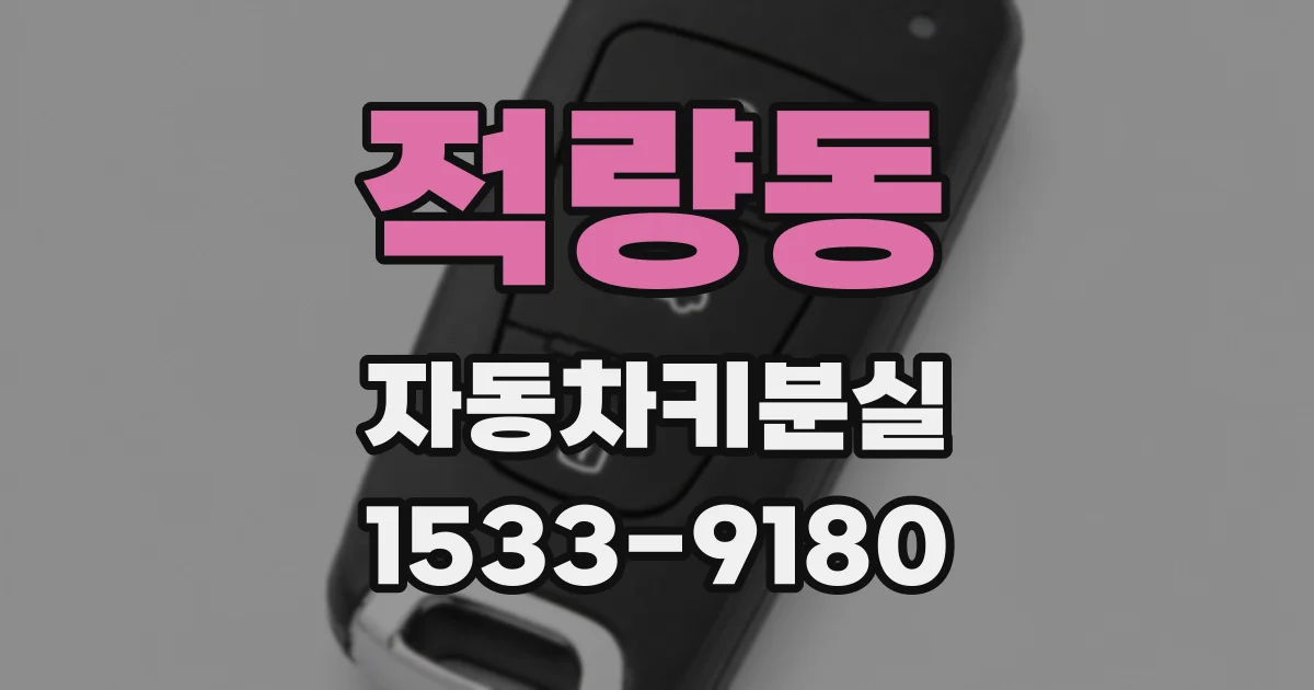 적량동 자동차키분실