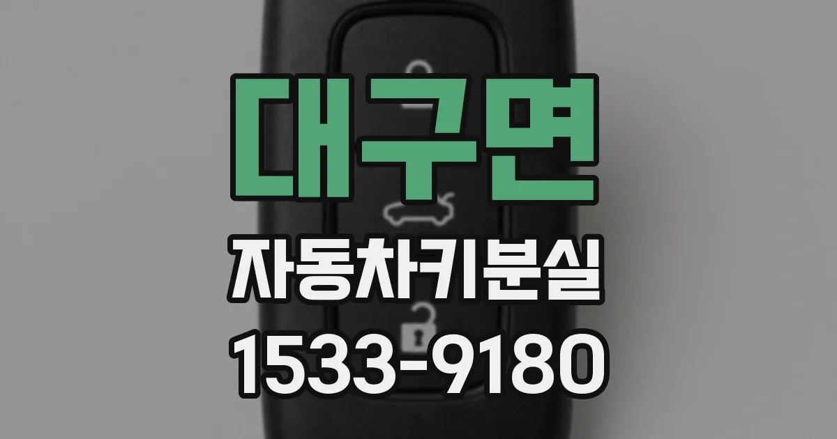 대구면 자동차키분실