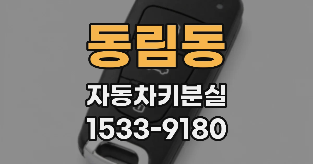 동림동 자동차키분실