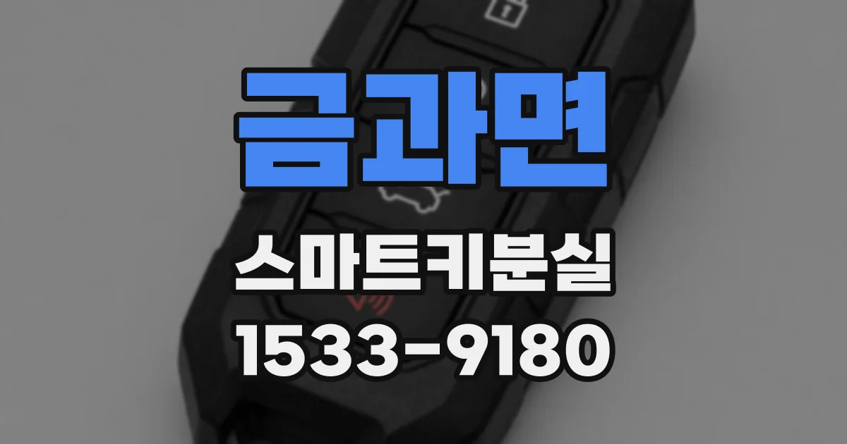 금과면 스마트키분실