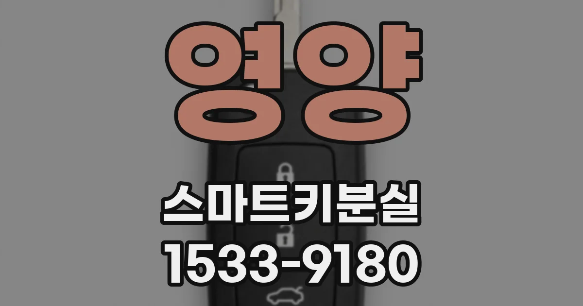 영양 스마트키분실