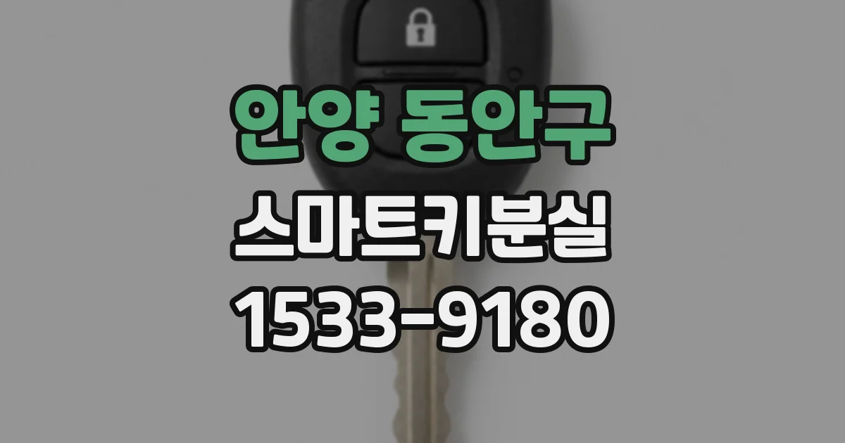 안양 동안구 스마트키분실