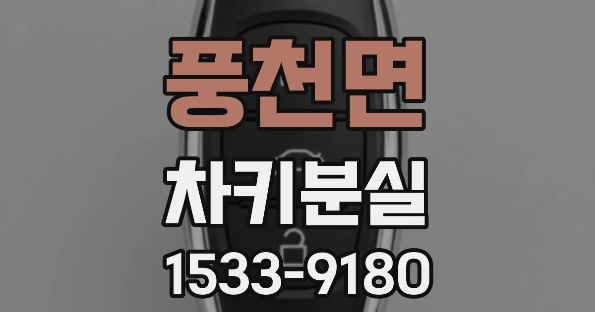 풍천면 차키분실