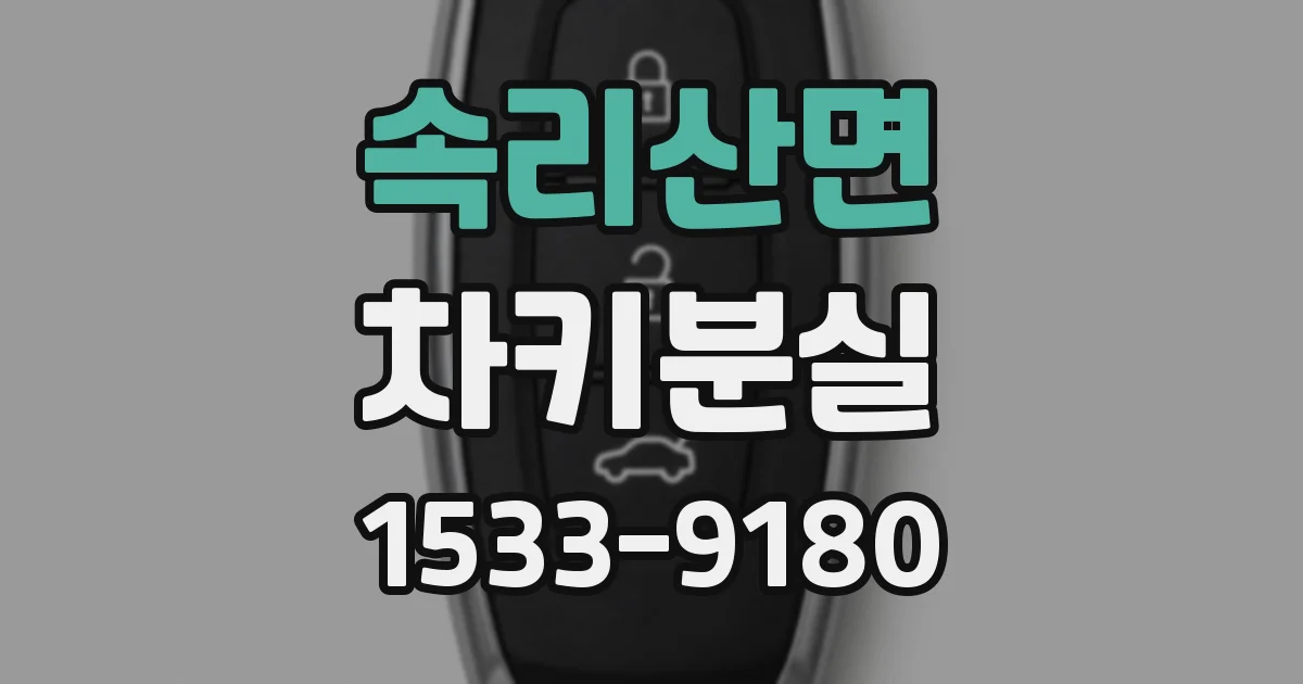 속리산면 차키분실