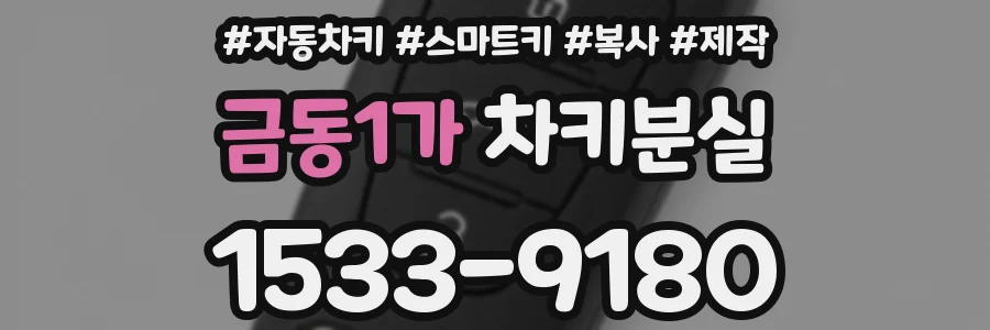 금동1가 차키분실