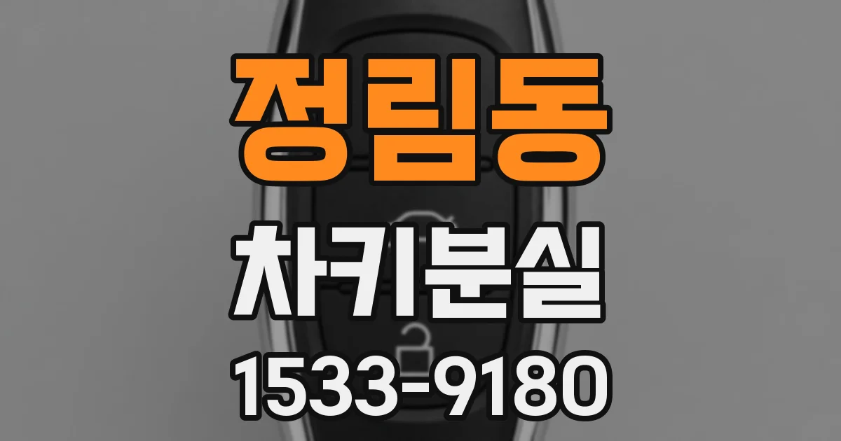 정림동 차키분실