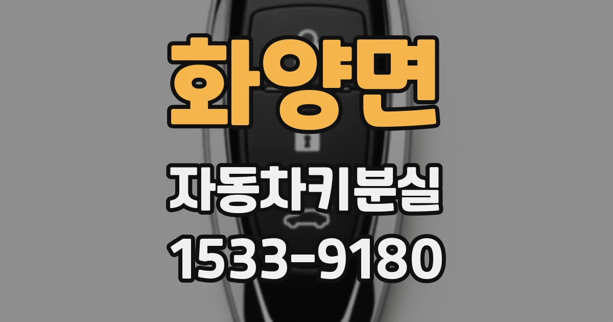 화양면 자동차키분실