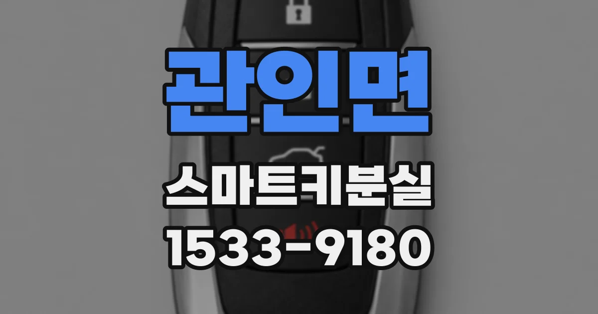 관인면 스마트키분실