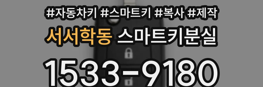 서서학동 스마트키분실