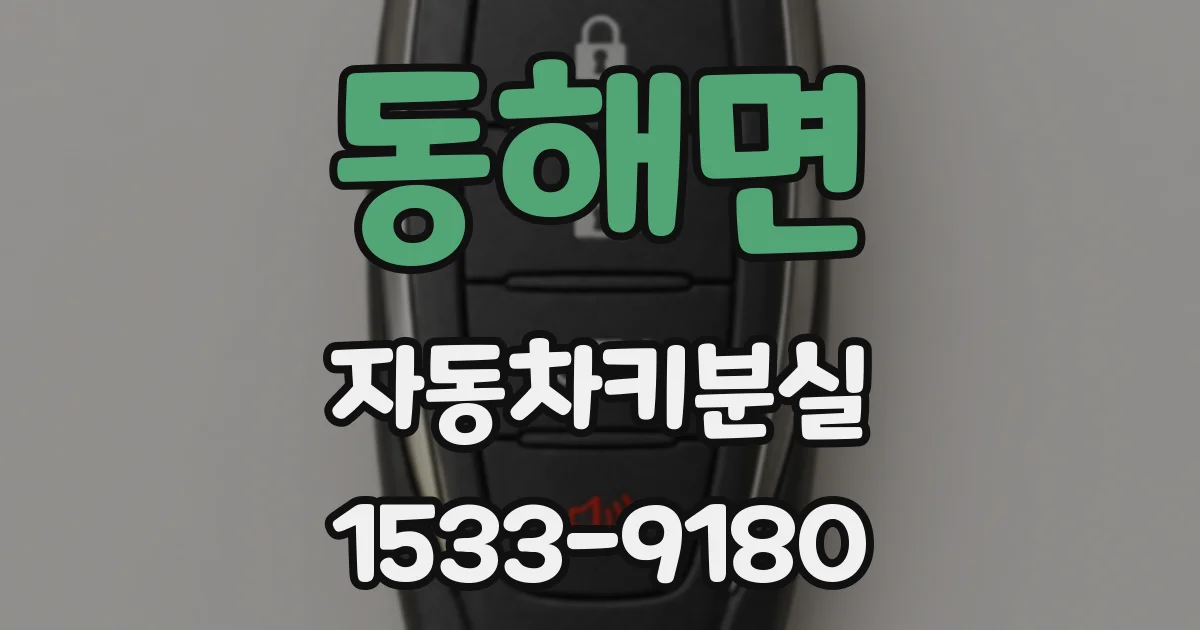 동해면 자동차키분실