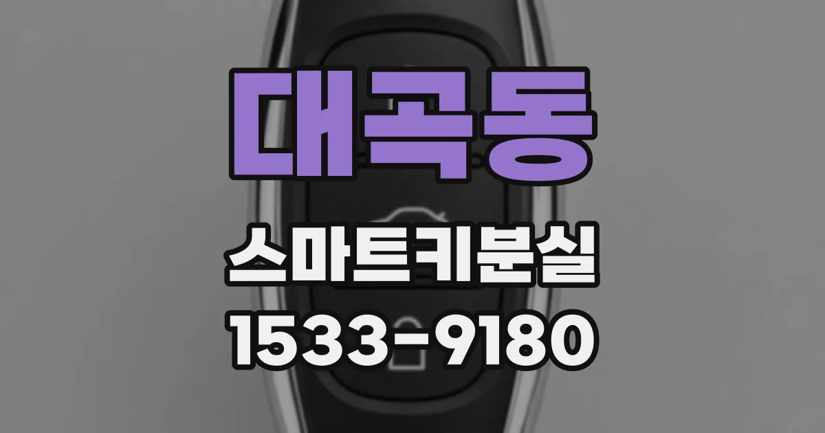 대곡동 스마트키분실