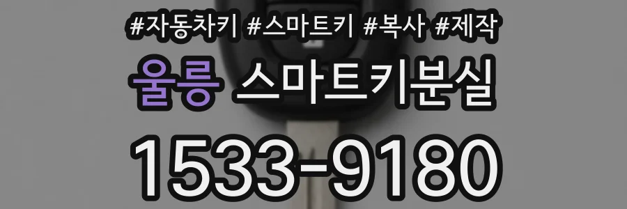 울릉 스마트키분실