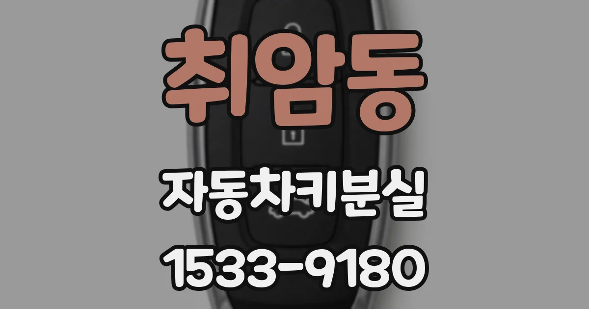 취암동 자동차키분실