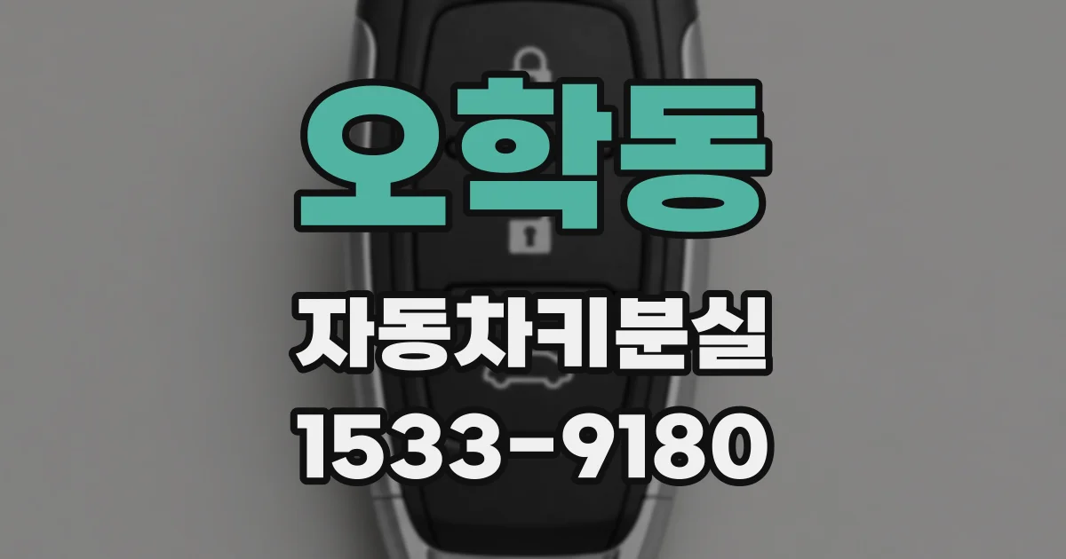 오학동 자동차키분실