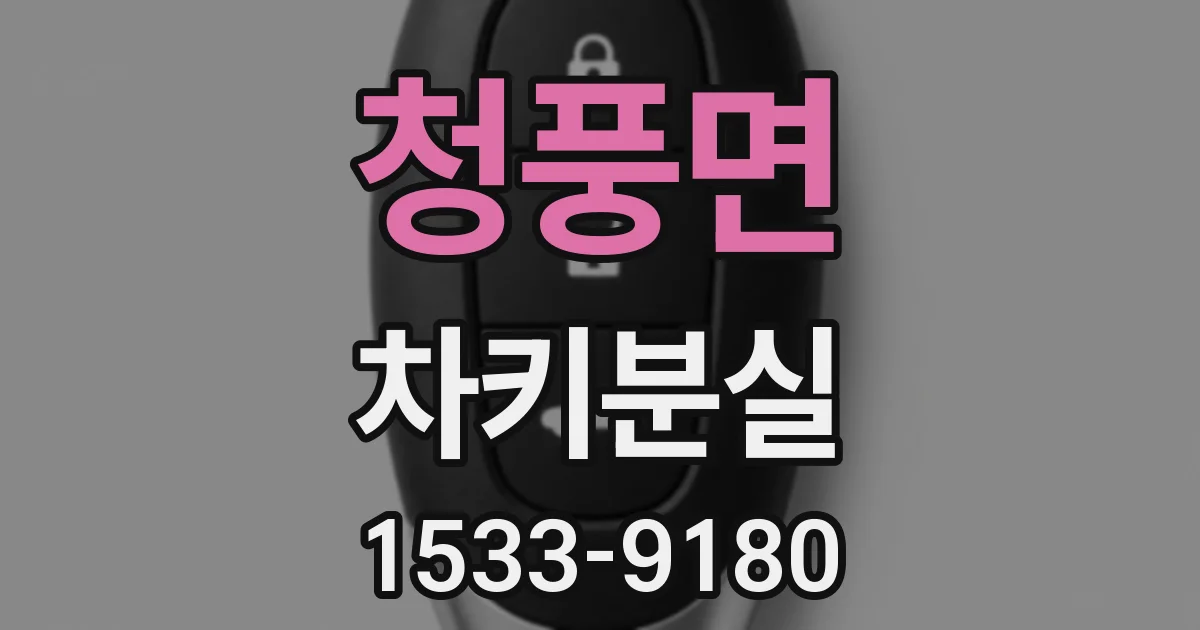 청풍면 차키분실