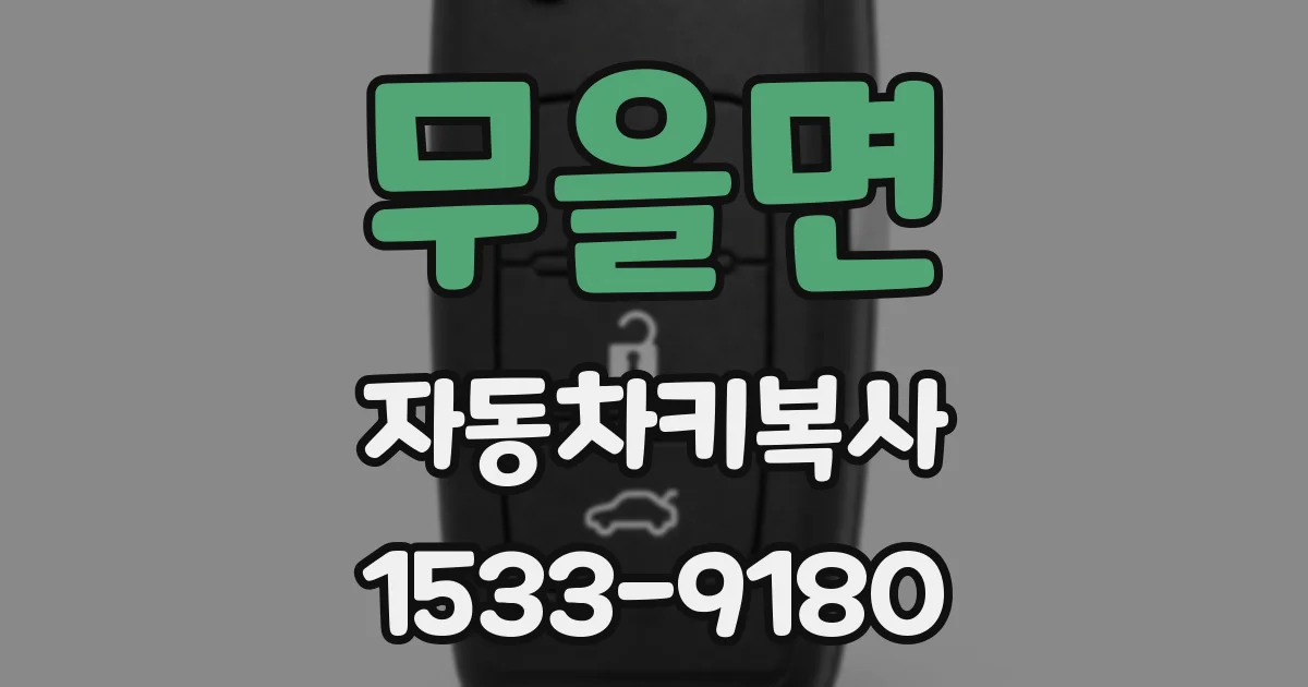 무을면 자동차키복사
