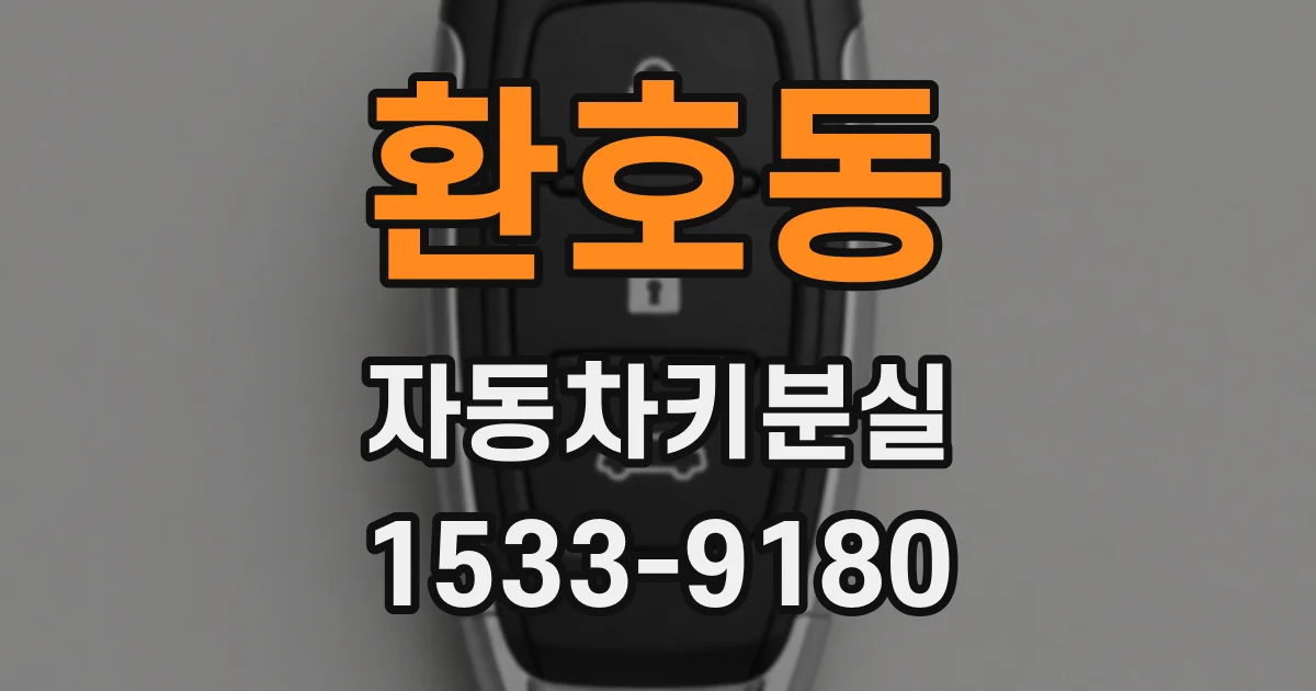 환호동 자동차키분실