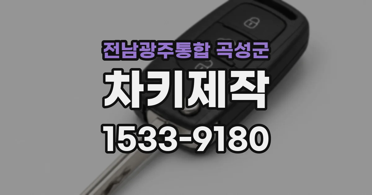 전남광주통합 곡성군 차키제작