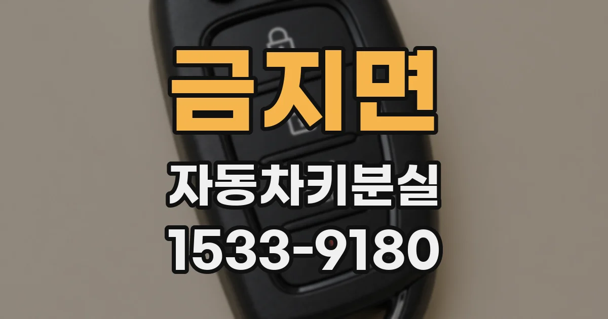 금지면 자동차키분실