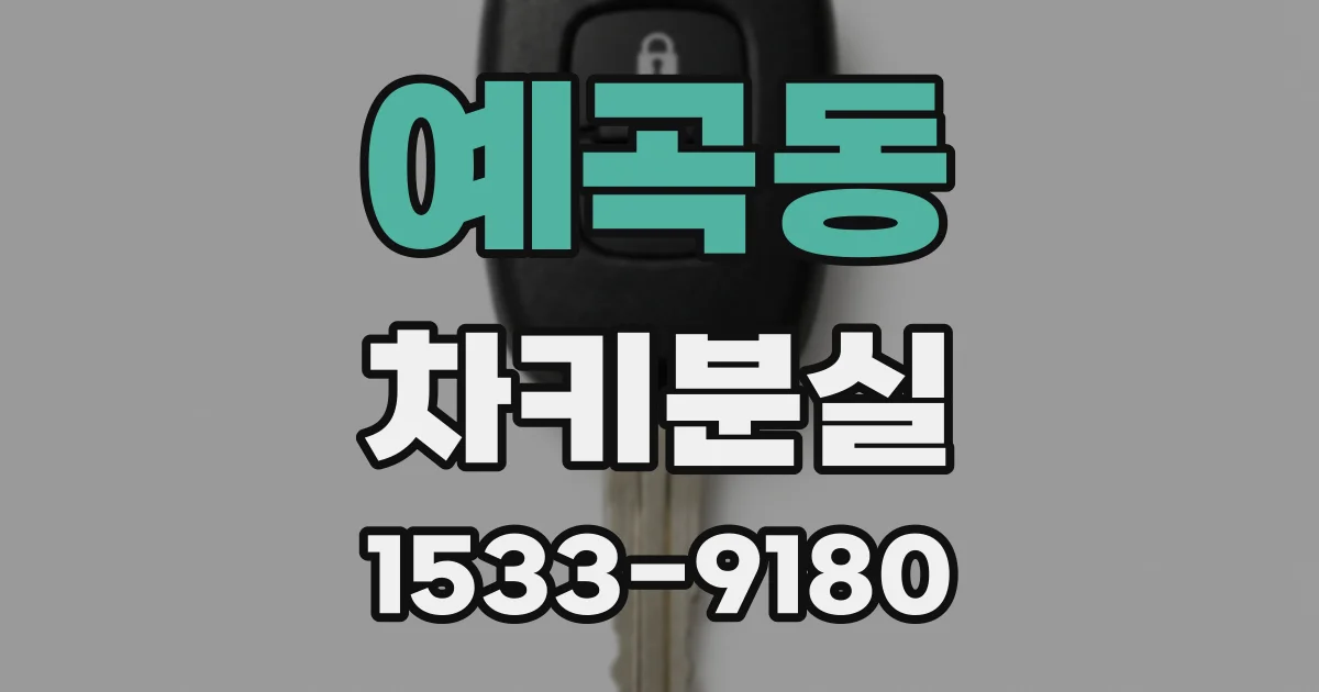 예곡동 차키분실