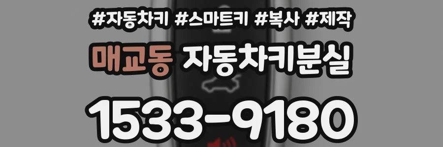 매교동 자동차키분실