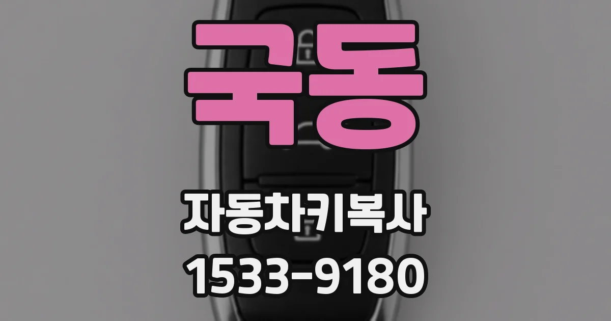 국동 자동차키복사
