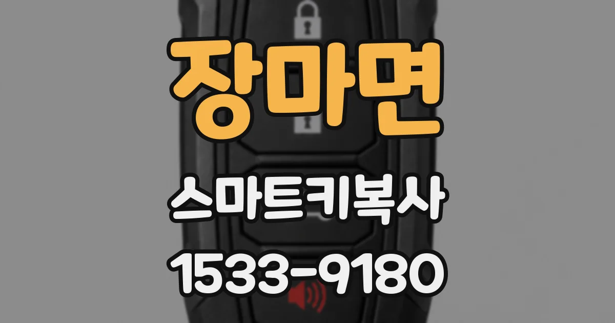 장마면 스마트키복사