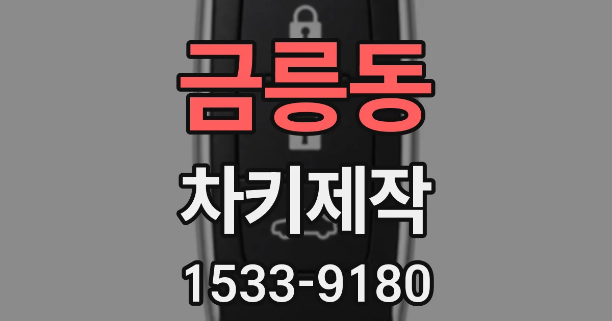 금릉동 차키제작