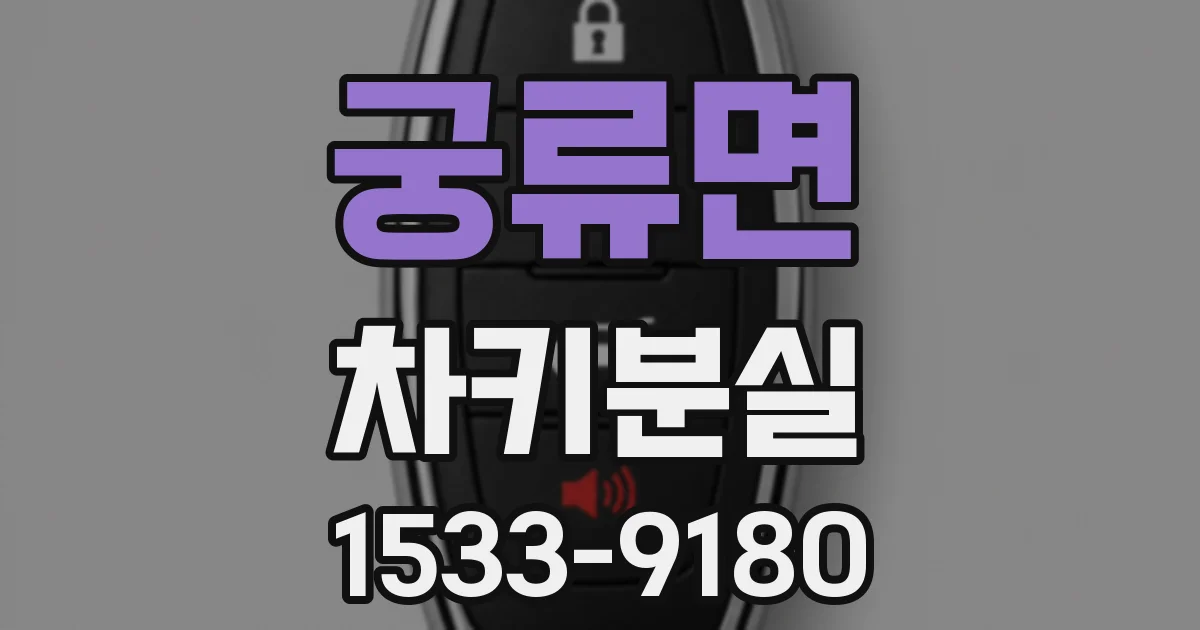 궁류면 차키분실