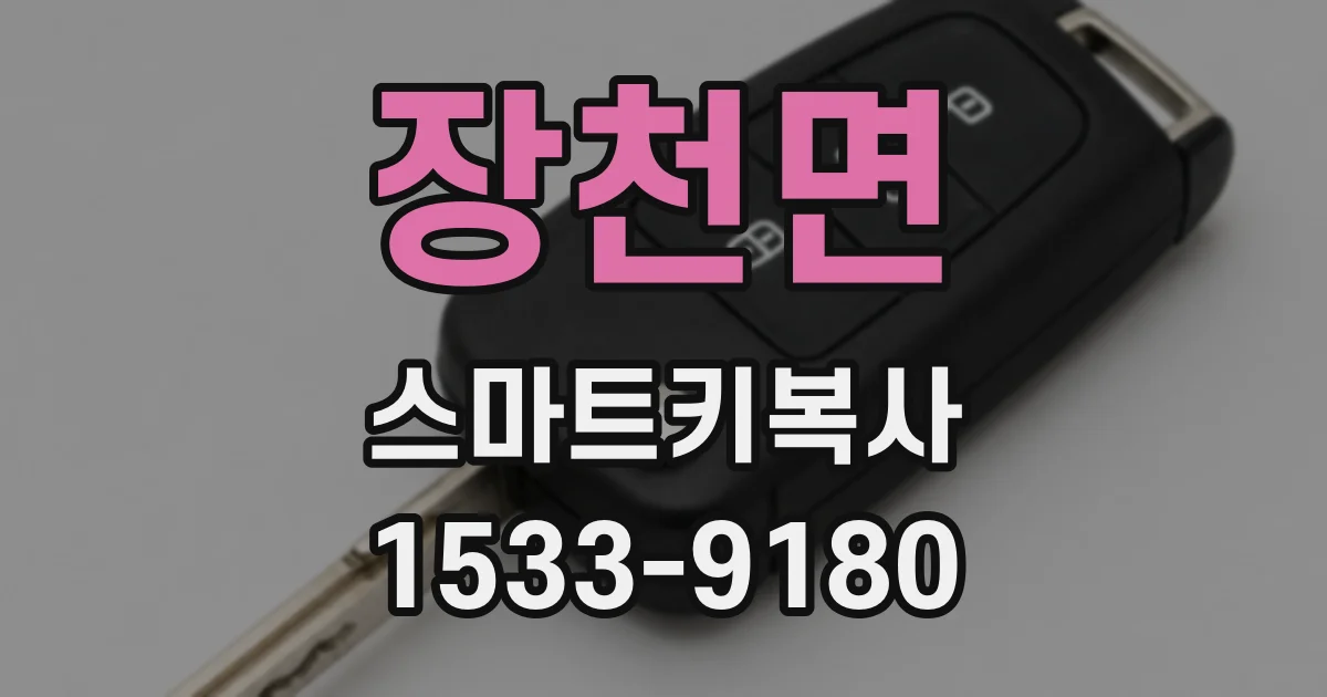 장천면 스마트키복사