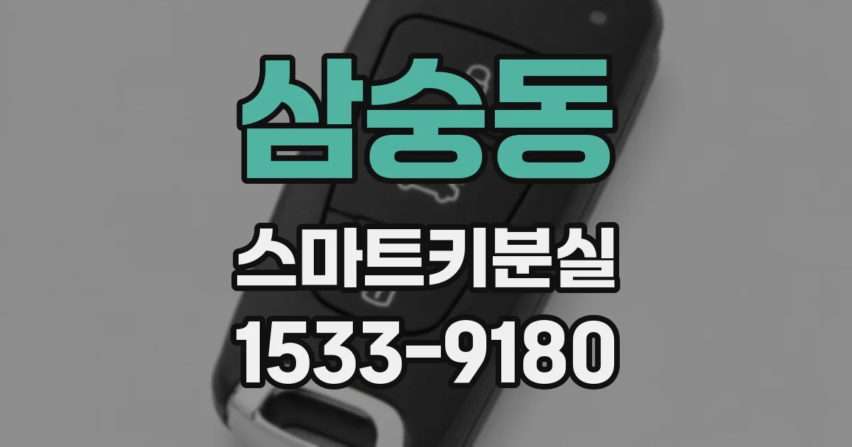 삼숭동 스마트키분실