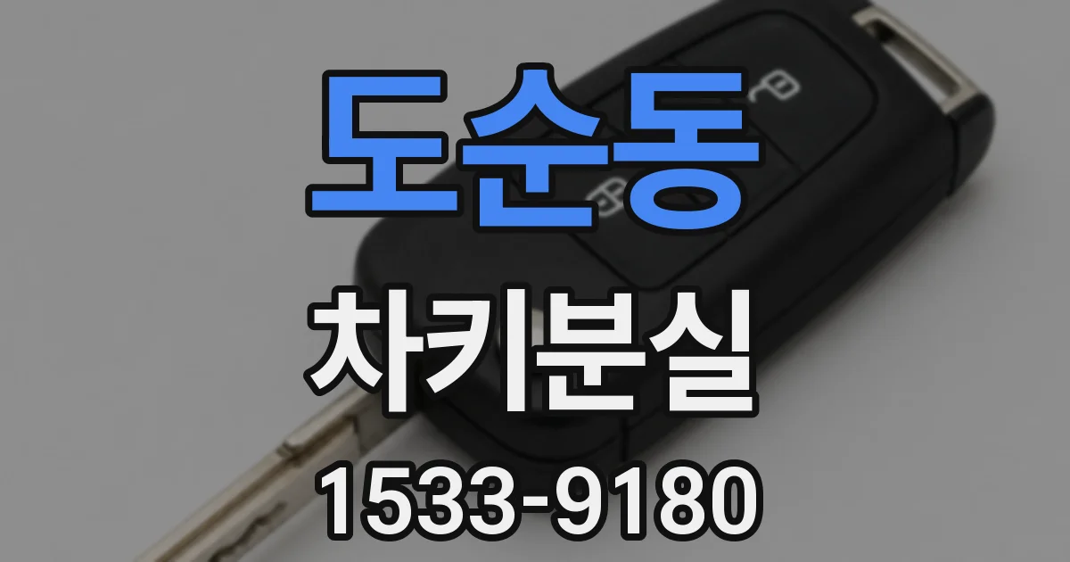 도순동 차키분실