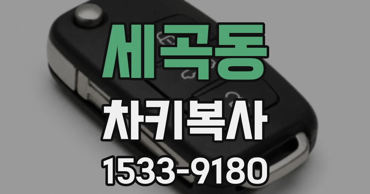 세곡동 차키복사