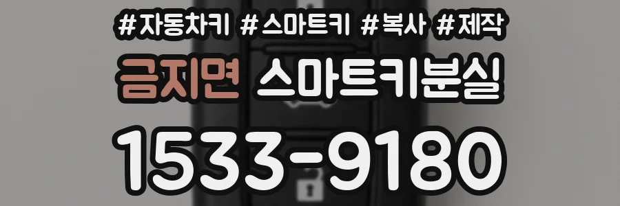 금지면 스마트키분실