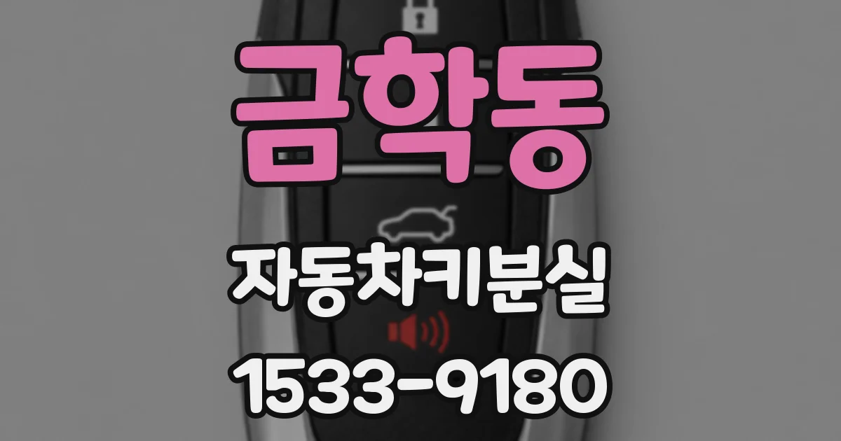금학동 자동차키분실