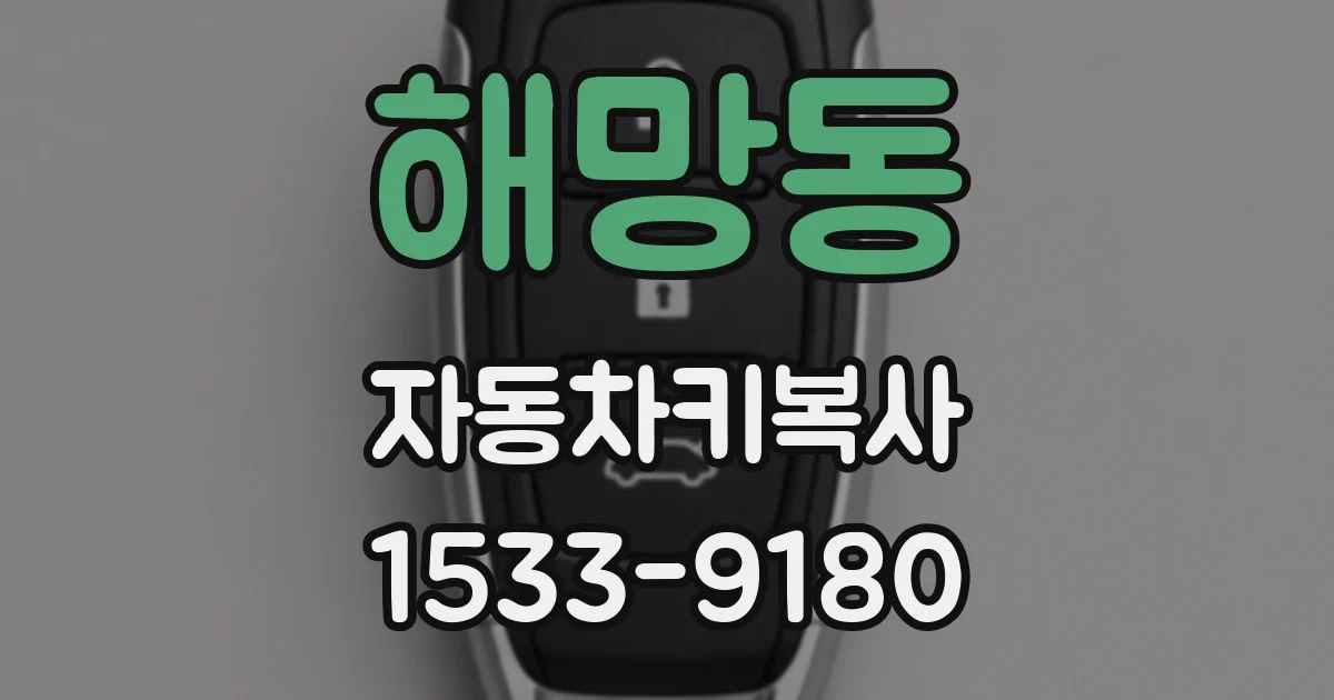 해망동 자동차키복사