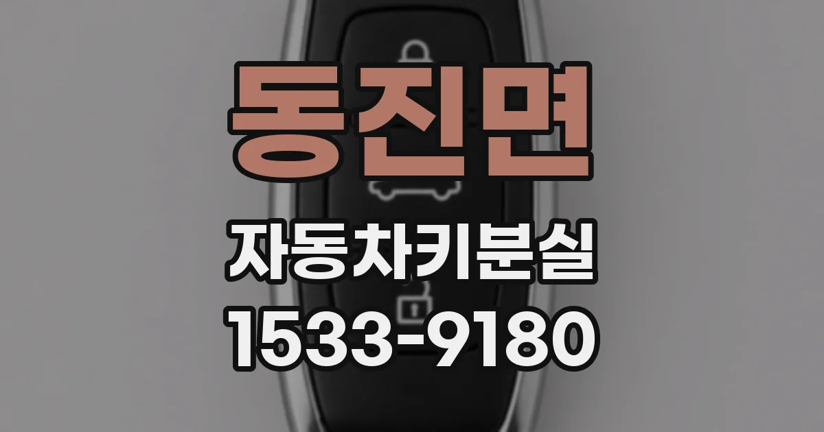 동진면 자동차키분실
