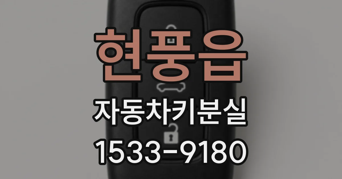 현풍읍 자동차키분실