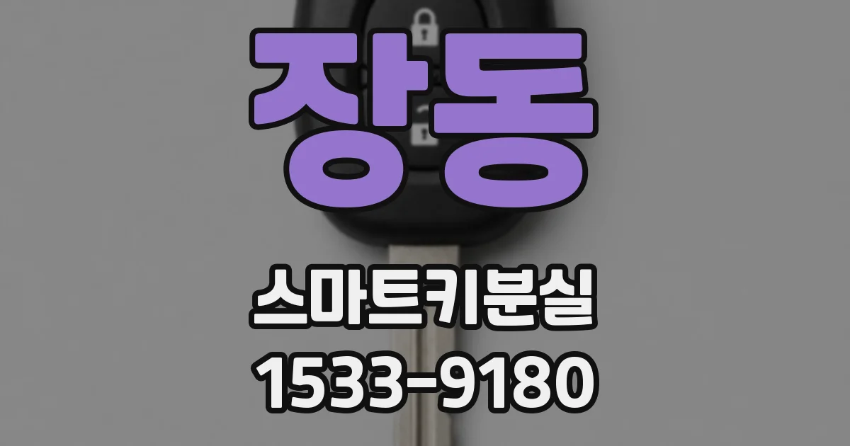 장동 스마트키분실