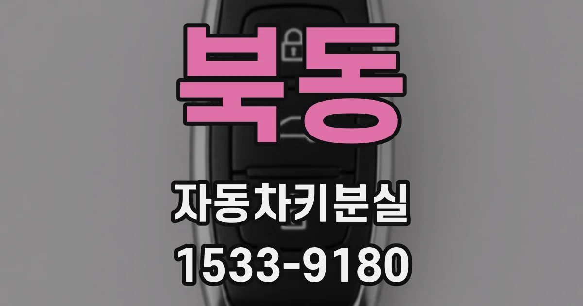 북동 자동차키분실