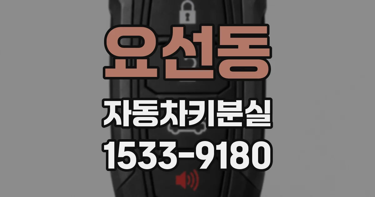 요선동 자동차키분실
