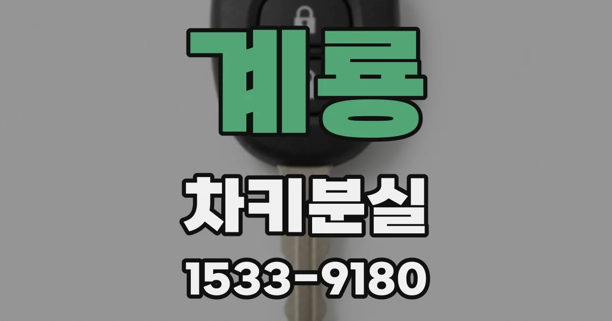 계룡 차키분실