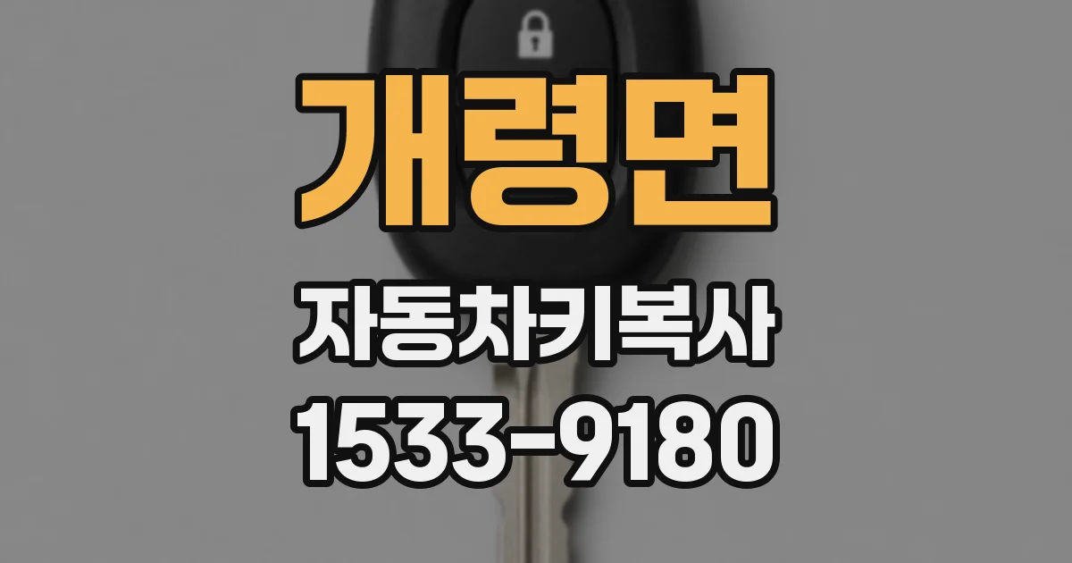 개령면 자동차키복사