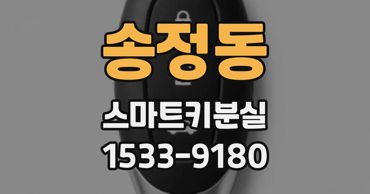 송정동 스마트키분실