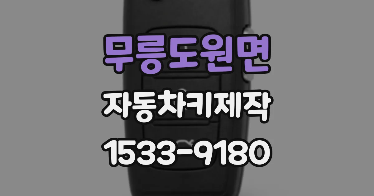 무릉도원면 자동차키제작