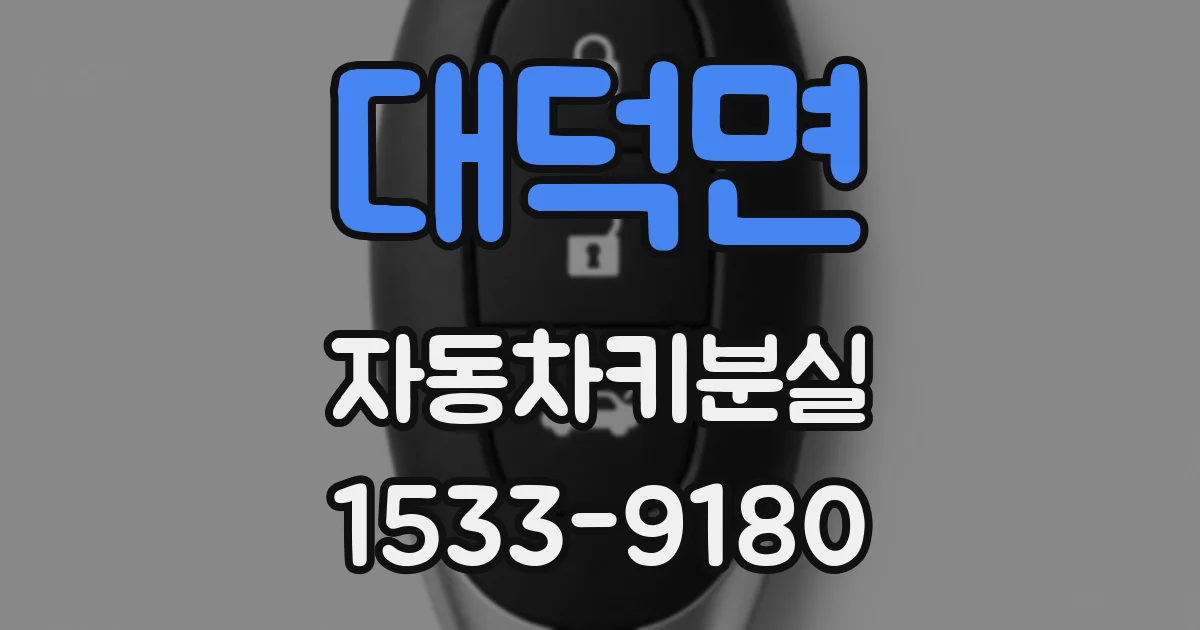 대덕면 자동차키분실