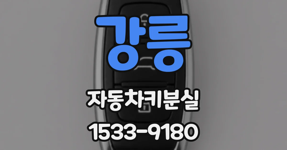 강릉 자동차키분실